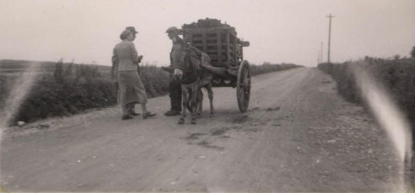 Frank & Mary Pollard, peat cart & donkey. On the road from Ballinskelligs to Waterville, Ireland, July 1937
