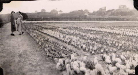 Mary & Caro Pollard in bulb fields, Holland, April 1938