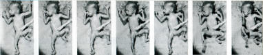 more stills from a motion picture of a 6-month foetus