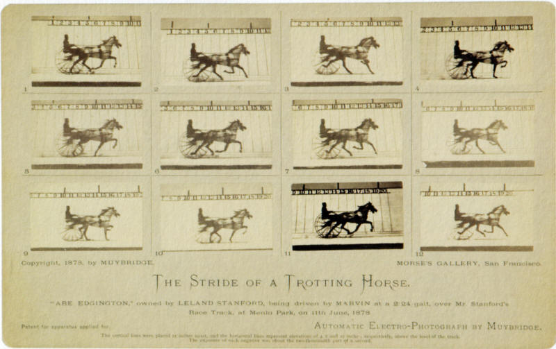first movie: Muybridge's The Stride of the Trotting Horse, Abe Edgington