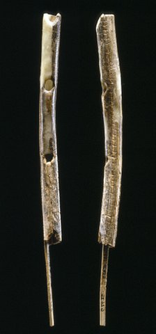 photo of flutes made from bird bone and mammoth ivory
