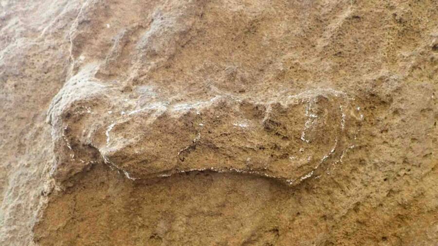 Oldest Known Human Footprints