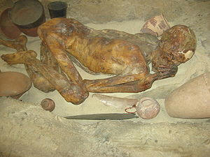 photo of the mummy known as Ginger