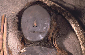 photo of the oldest surviving human hair